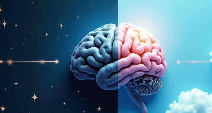 Why We Dream: Science Sleep and What Dreams Tell Us